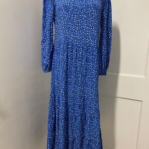 Zara Blue and White Maxi Dress